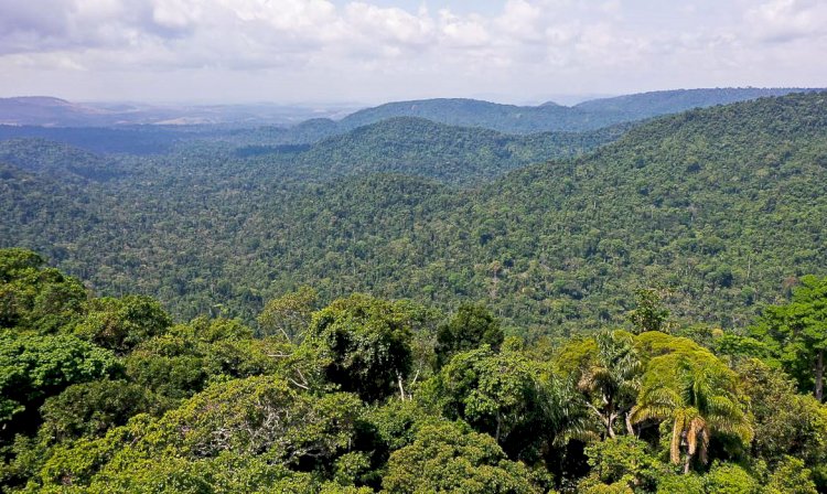 Amazônia: redução da pobreza e do desmatamento podem coexistir